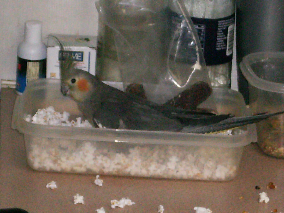 Sugar in Popcorn