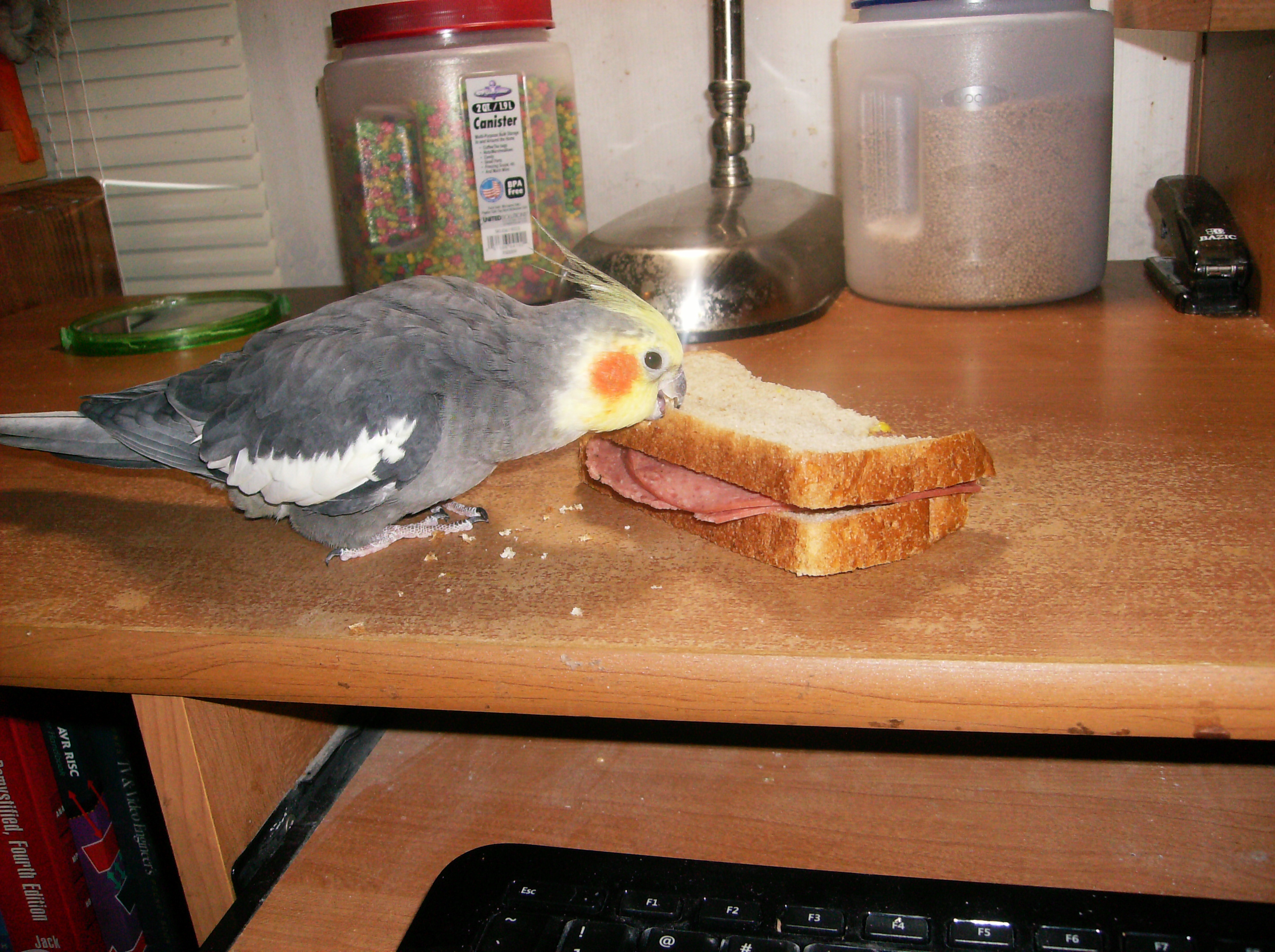 Cotto Salami Two