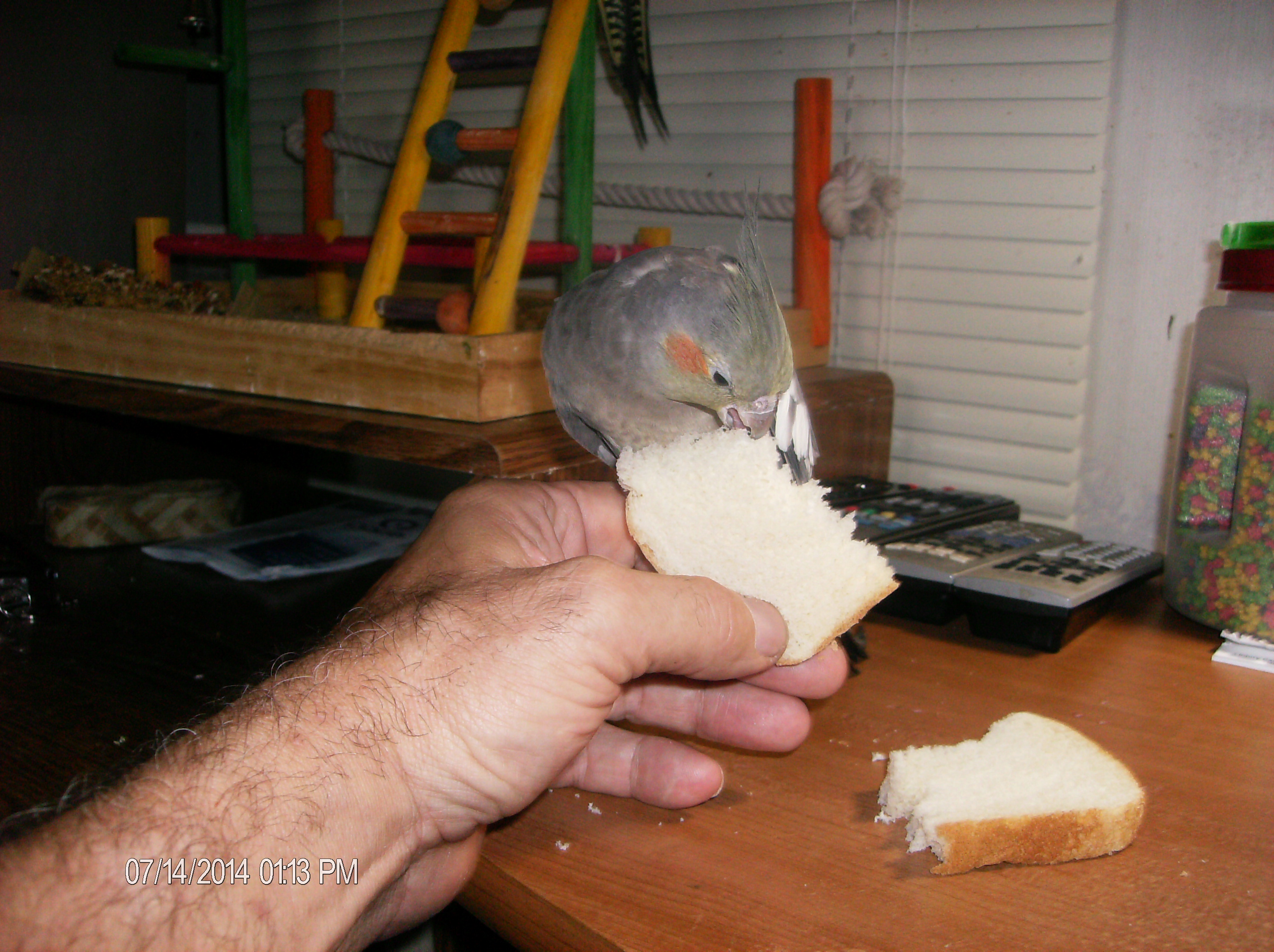Carly Eating Bread